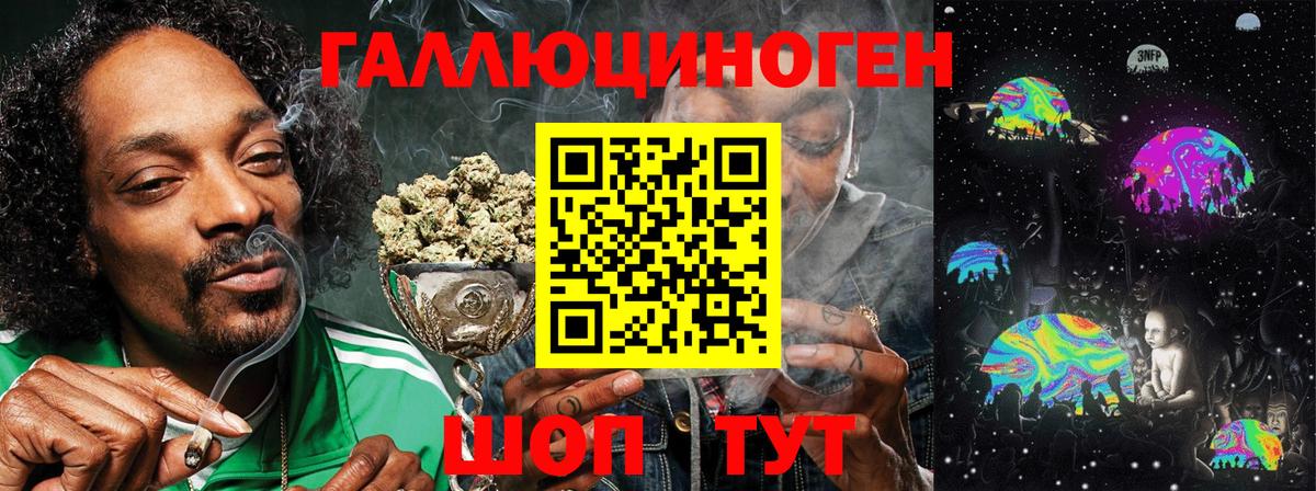 Псилоцибиновые грибы Psilocybine cubensis Усинск