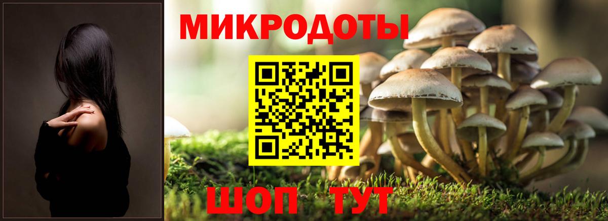 Галлюциногенные грибы Psilocybine cubensis  Вход с VPN  Галлюциногенные грибы Cubensis  Усинск 
